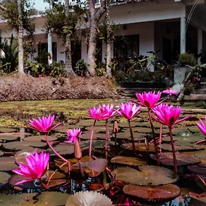 Marari Ebin Charlys Homestay Mararikulam